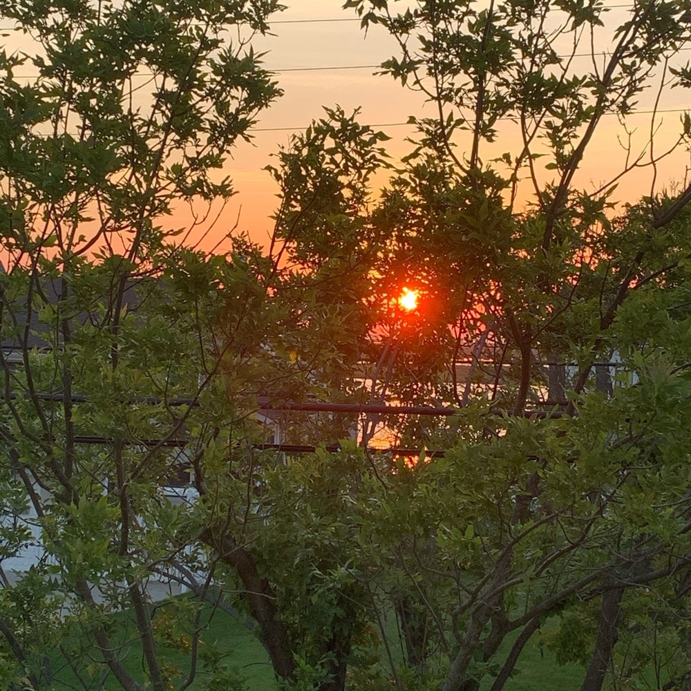 Meet your Posher, Carolyn